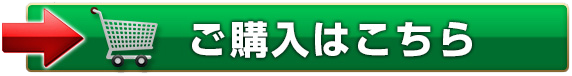 ご購入はこちら