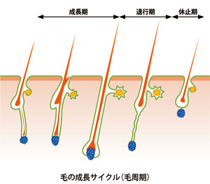 001cycle