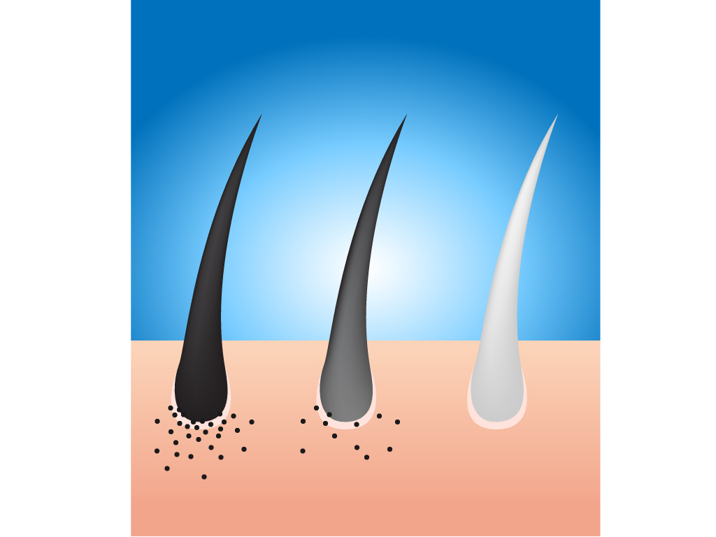 なぜ髪が白くなる 若くても油断禁物な白髪のメカニズムとは 薄毛 抜け毛研究所