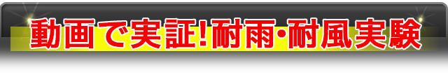 動画で実証